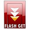 FlashGet لنظام التشغيل Windows 8.1