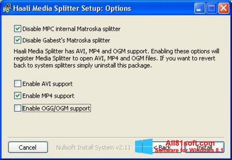 لقطة شاشة Haali Media Splitter لنظام التشغيل Windows 8.1