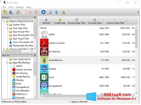 لقطة شاشة iBackupBot لنظام التشغيل Windows 8.1