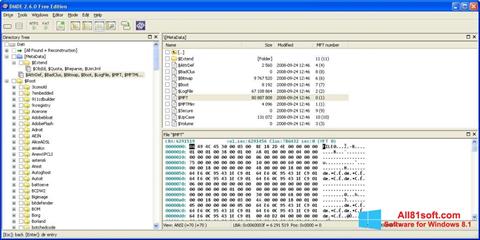 لقطة شاشة DMDE لنظام التشغيل Windows 8.1