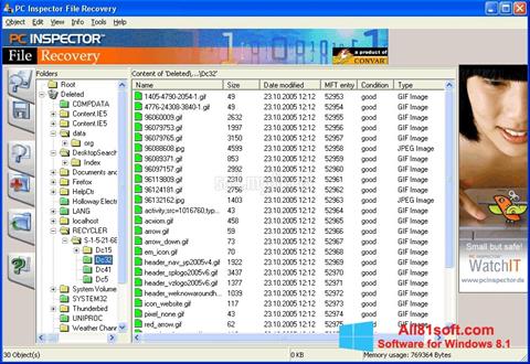 لقطة شاشة PC Inspector File Recovery لنظام التشغيل Windows 8.1