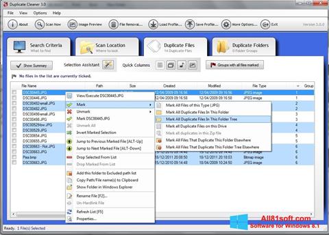 لقطة شاشة Duplicate Cleaner لنظام التشغيل Windows 8.1