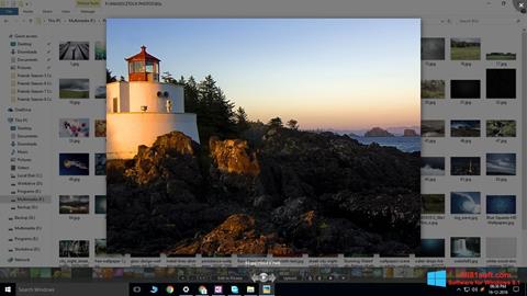 لقطة شاشة Picasa Photo Viewer لنظام التشغيل Windows 8.1