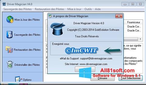 لقطة شاشة Driver Magician لنظام التشغيل Windows 8.1